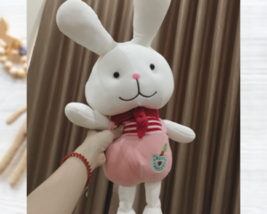 doudou lapin