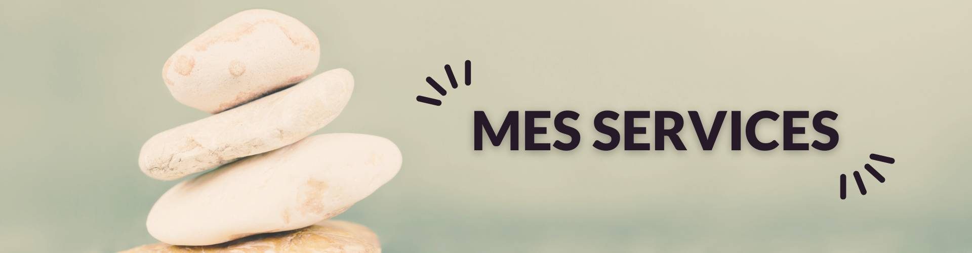 Mes services logbookdemamanourse